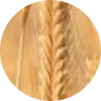 Marie Carlier, naturopathe à Drome-26