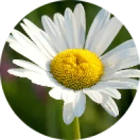 Laurence Domengie, naturopathe à Agen