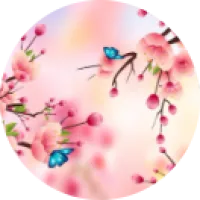  Marie-pierre   Chausson  ,  à Lyon