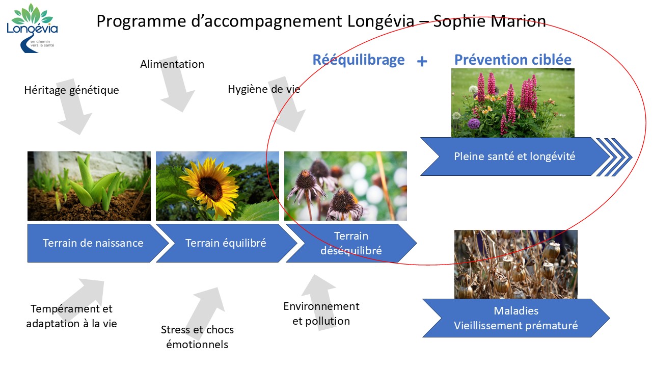 Photo numéro 5 de la galerie de Sophie Marion : Naturopathe à Crolles. Prendre RDV