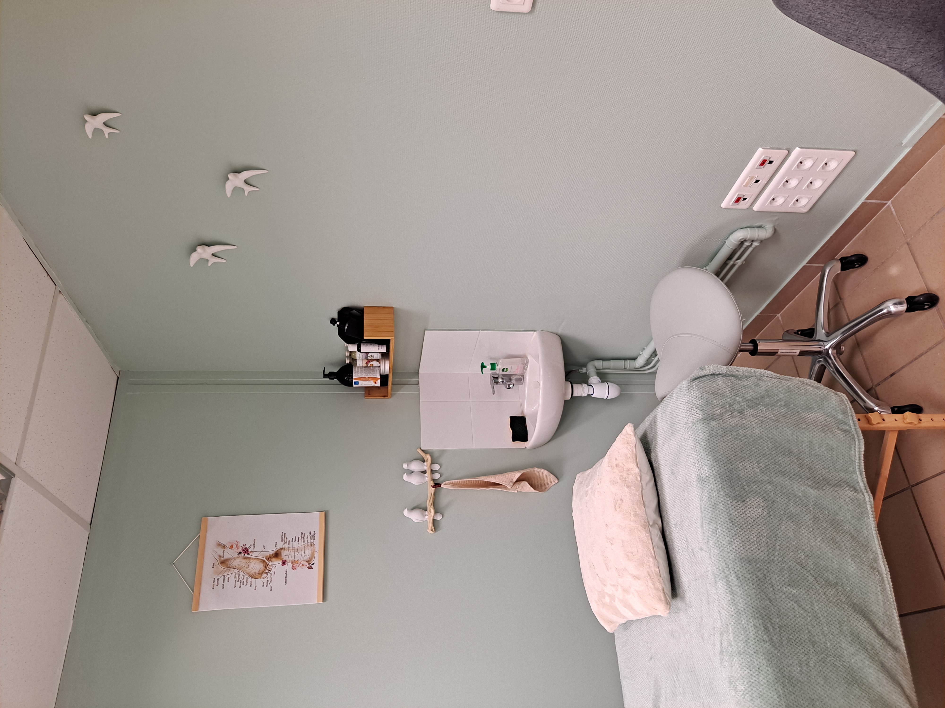 Photo numéro 7 de la galerie de Vanessa Cros : Réflexologue à Feurs. Prendre RDV