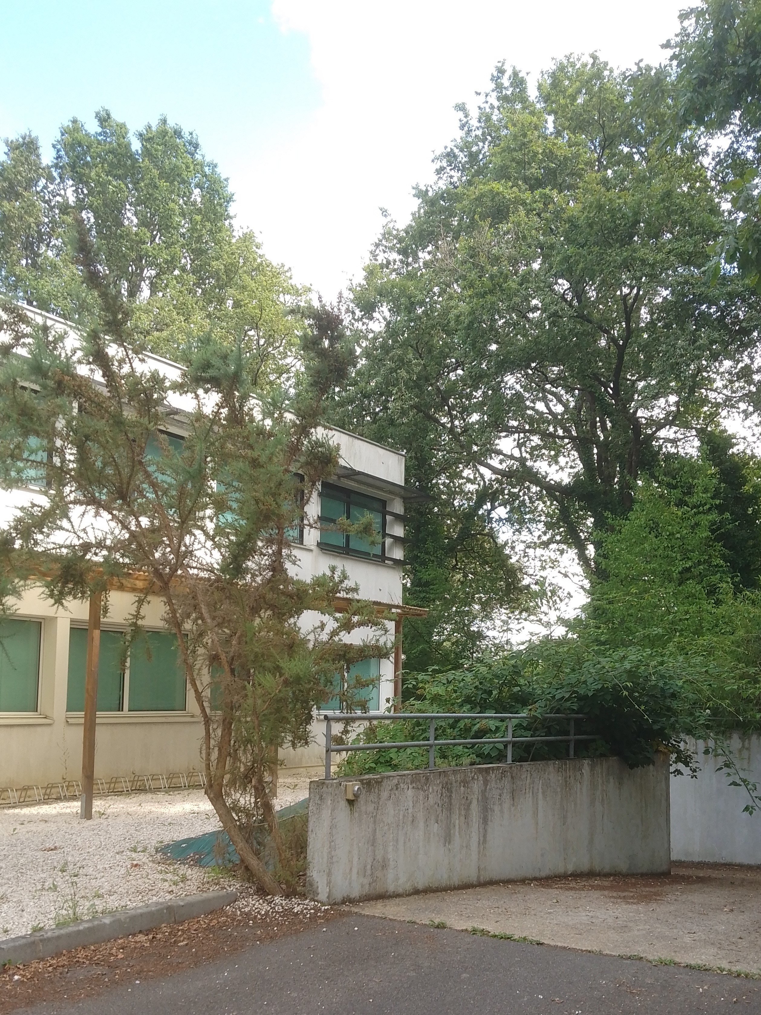 Photo numéro 3 de la galerie de Charles-didier Mallard : Coach PNL à Nantes. Prendre RDV