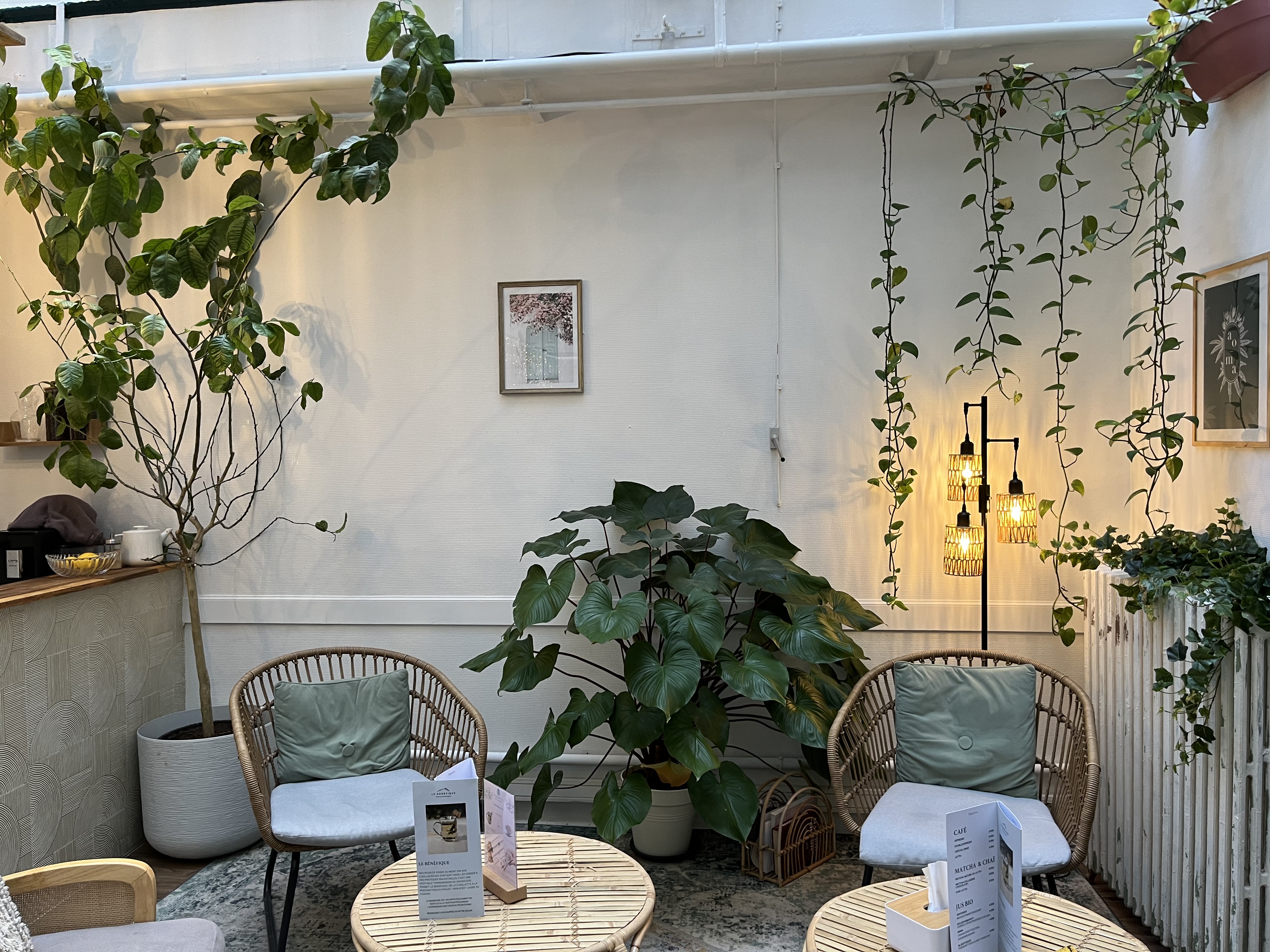 Photo numéro 3 de la galerie de Carole Delmas : Masseur bien-être à Paris. Prendre RDV