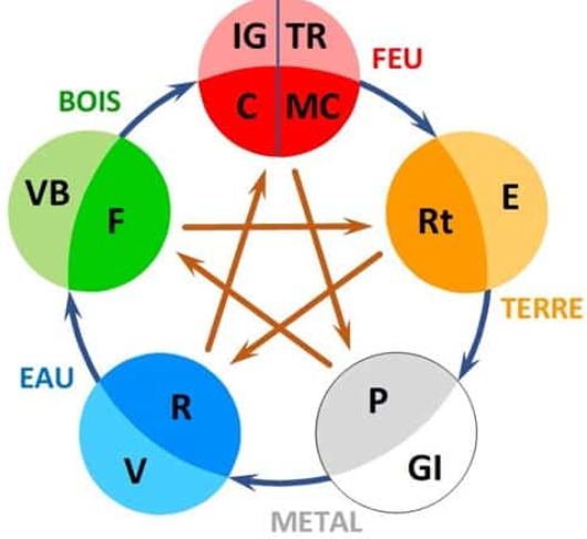Photo numéro 6 de la galerie de Emilie Dégoutte : Kinésiologue à Montbrison. Prendre RDV