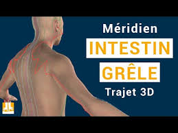 Photo numéro 8 de la galerie de Emilie Dégoutte : Kinésiologue à Montbrison. Prendre RDV