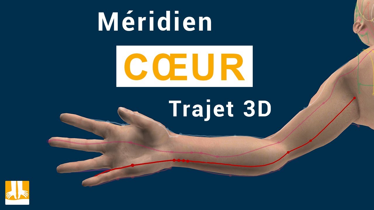 Photo numéro 9 de la galerie de Emilie Dégoutte : Kinésiologue à Montbrison. Prendre RDV