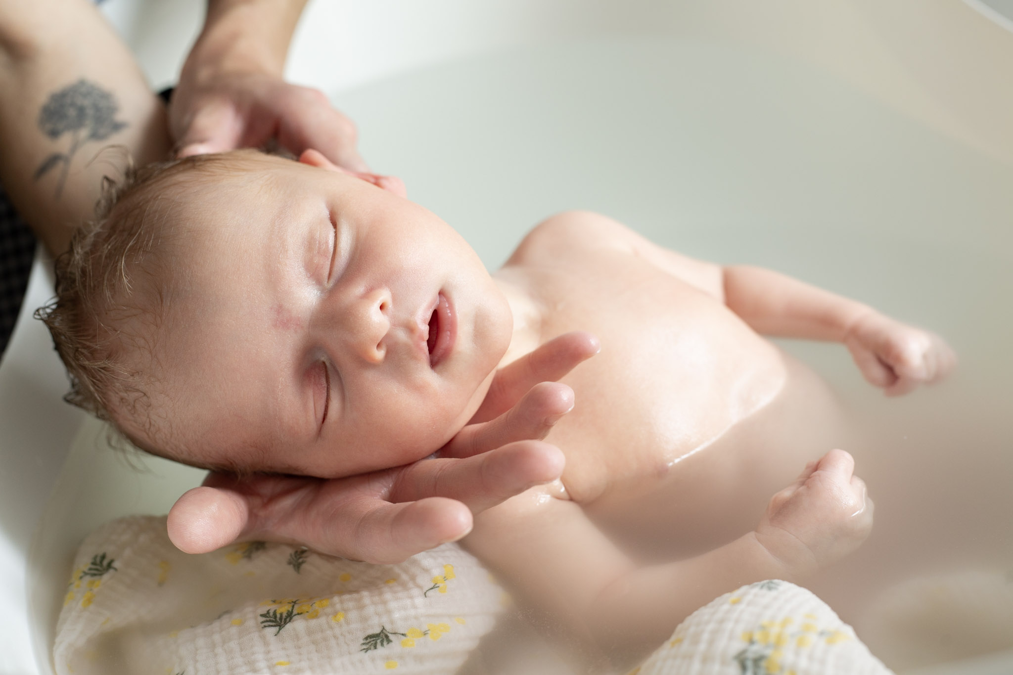 Photo numéro 2 de la galerie de Megahn Xiong : Accompagnateur parental à Saint-Gervais-la-Forêt. Prendre RDV