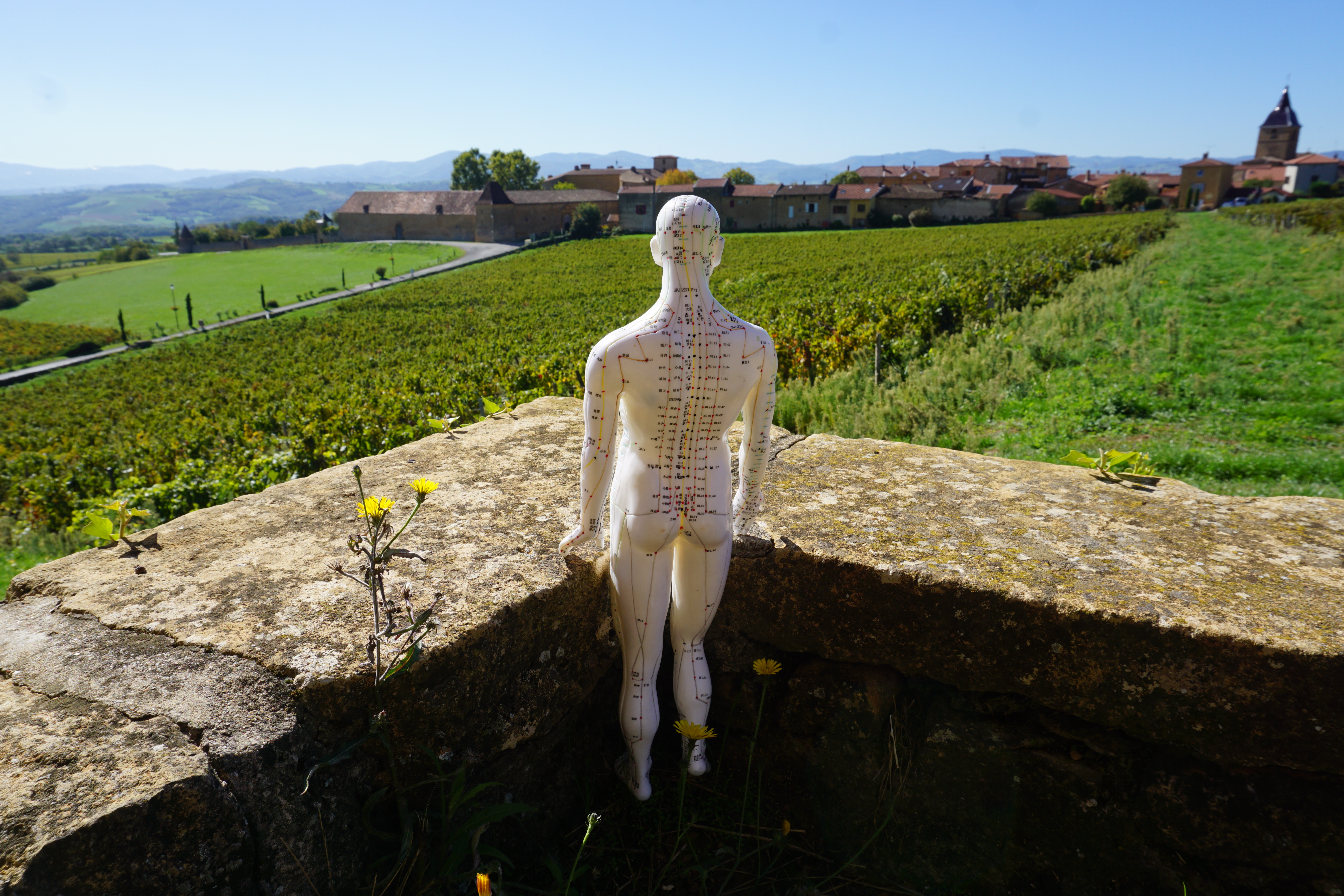 Photo numéro 9 de la galerie de Adrien Moine : Énergétique Traditionnelle Chinoise à Bagnols. Prendre RDV