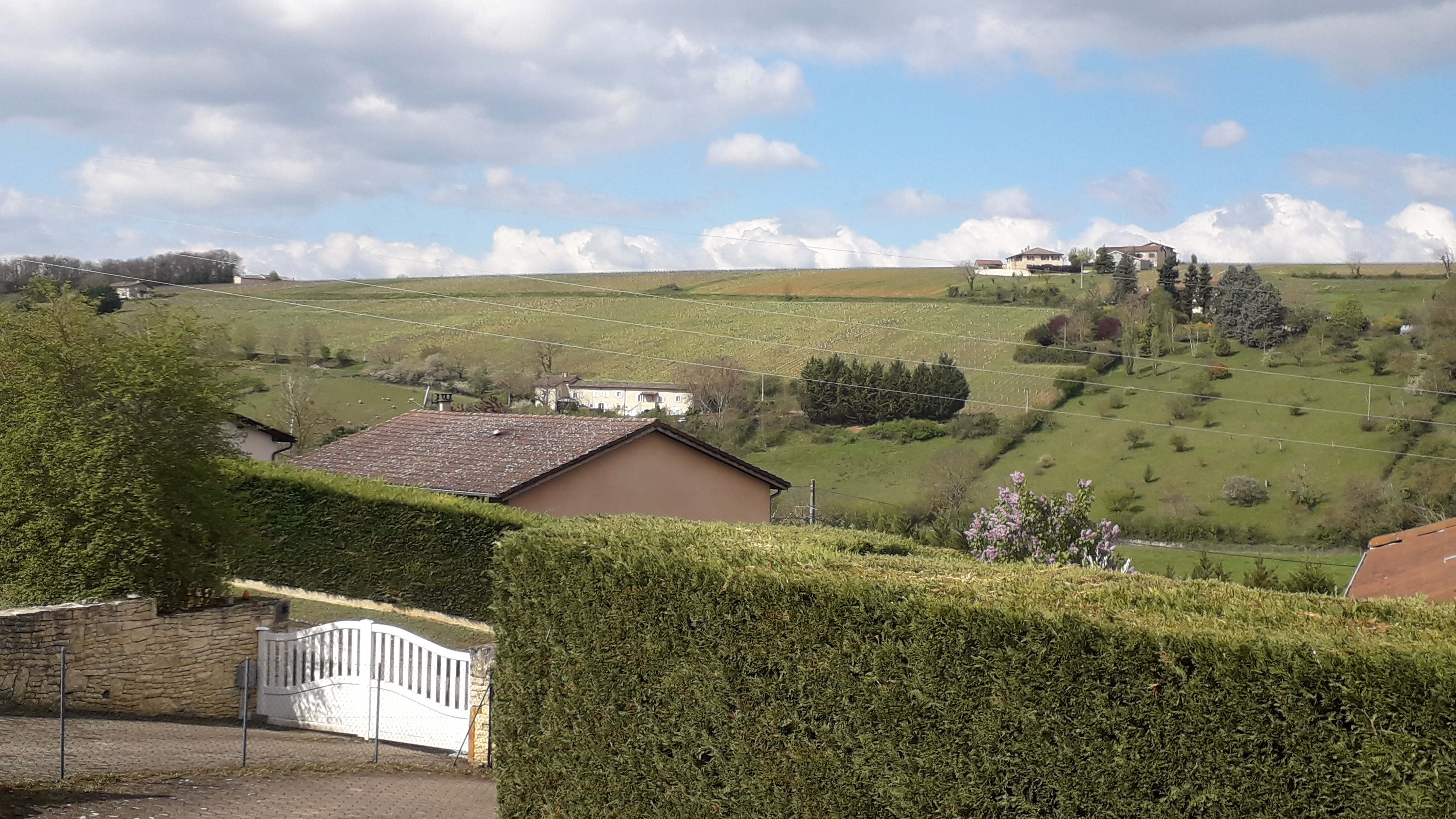 Photo numéro 2 de la galerie de Franck Burtin : Sophrologue à Pommiers. Prendre RDV