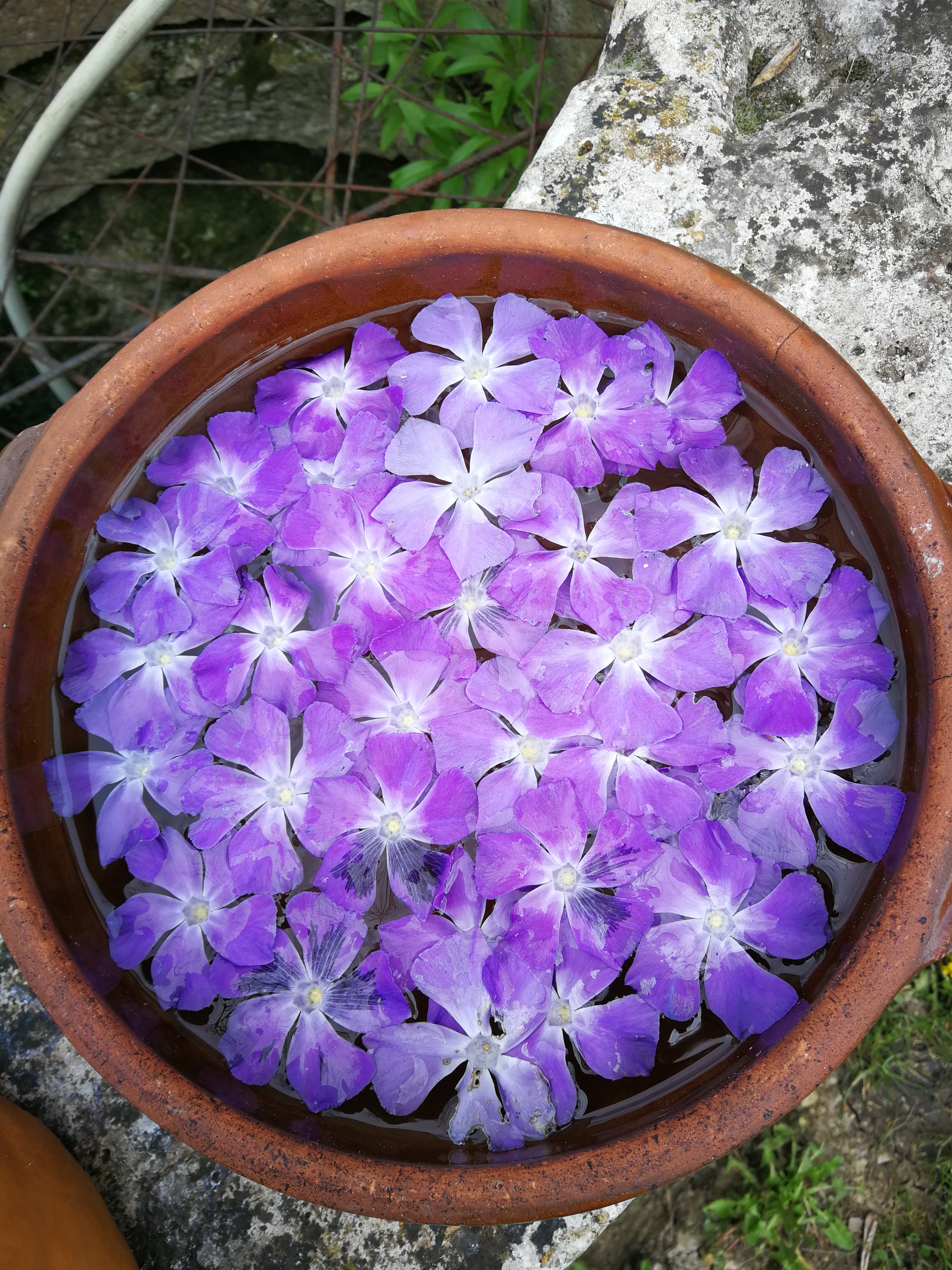 Photo numéro 1 de la galerie de Beppie Glaap De Wildt : . Prendre RDV