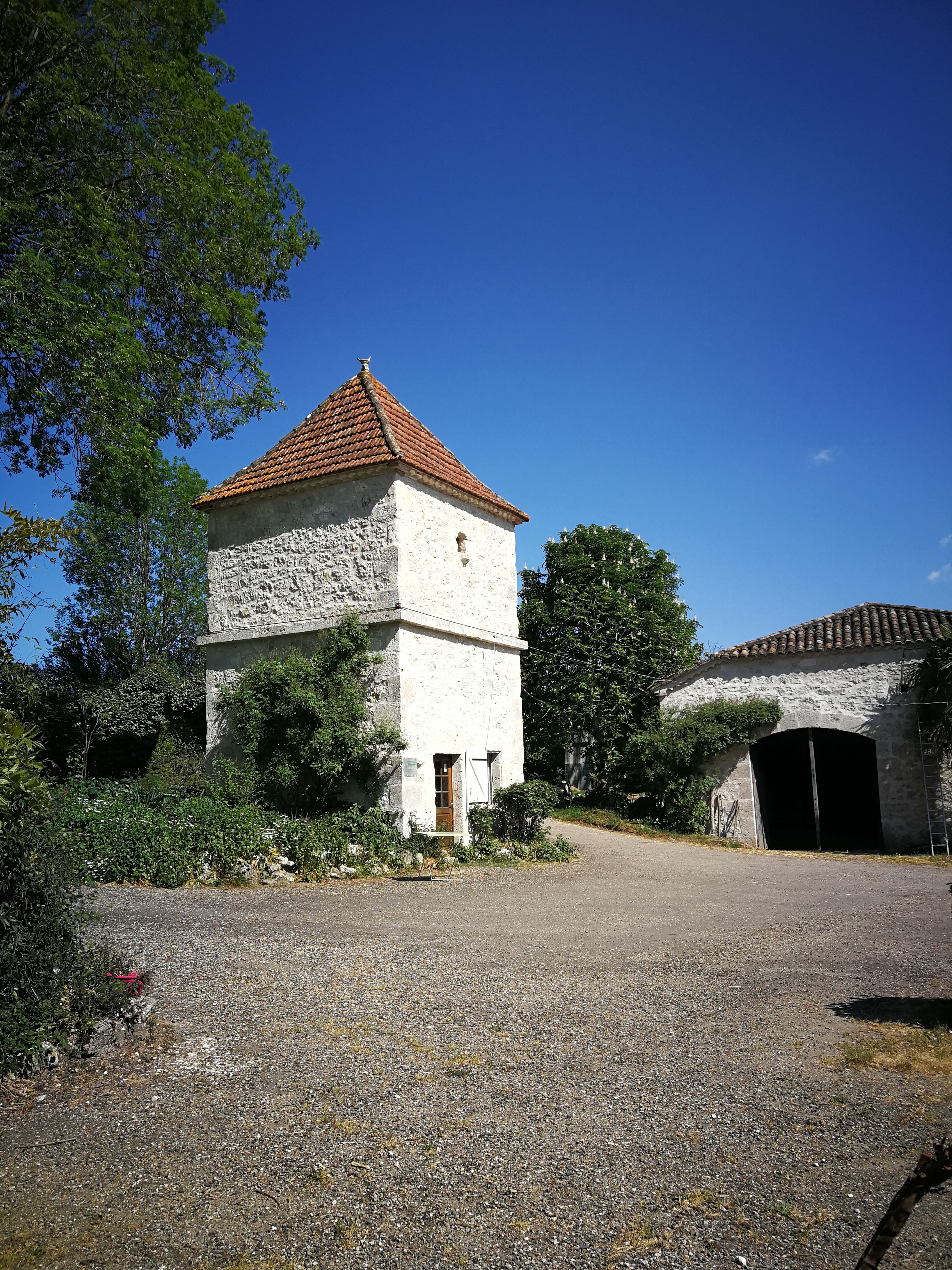 Photo numéro 3 de la galerie de Beppie Glaap De Wildt : . Prendre RDV