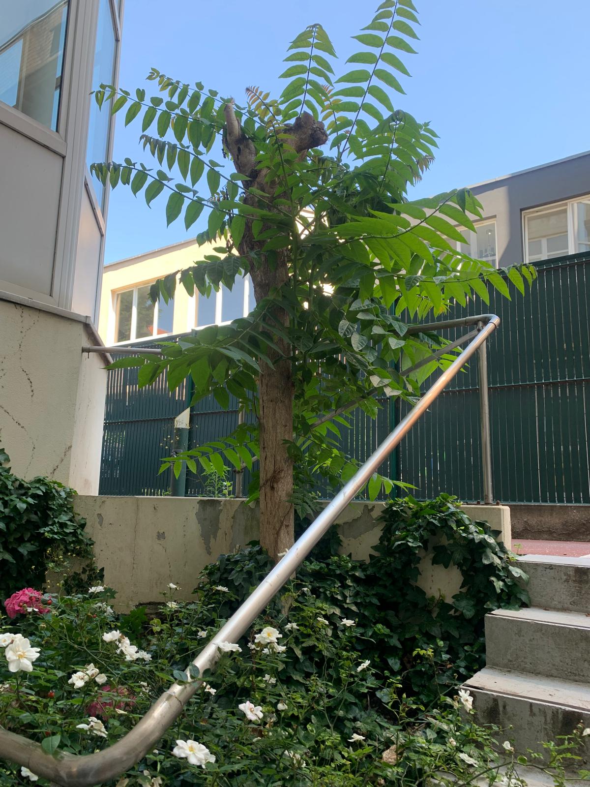 Photo numéro 6 de la galerie de Adriana Raquel Pena Fajardo : Réflexologue à Strasbourg. Prendre RDV