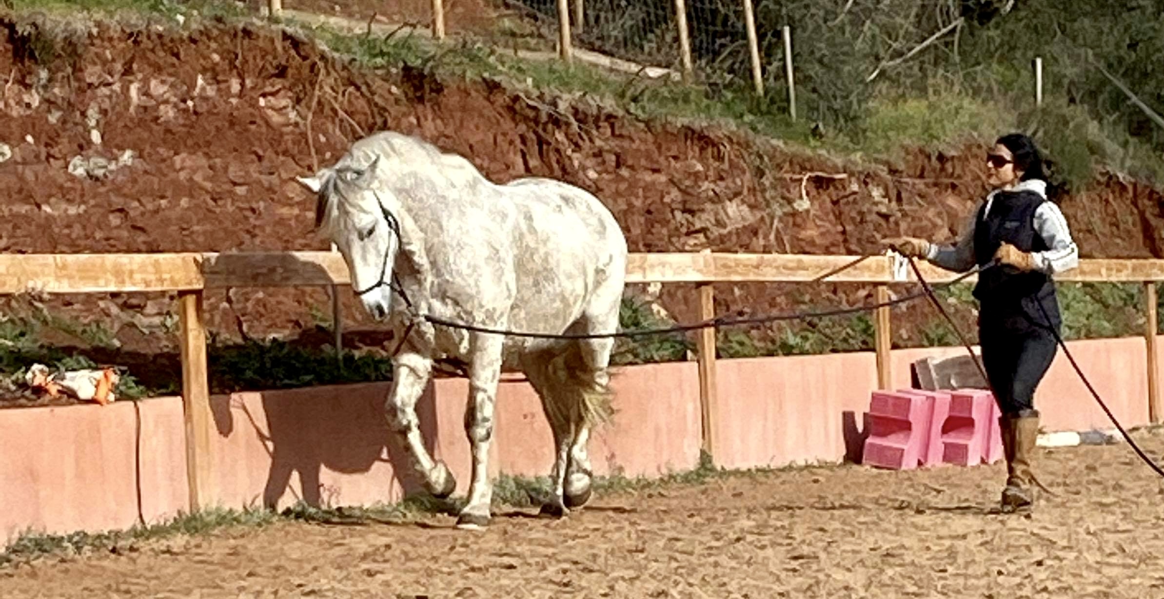 Photo numéro 2 de la galerie de Caroline Bonifacio : Thérapeute à Grasse. Prendre RDV