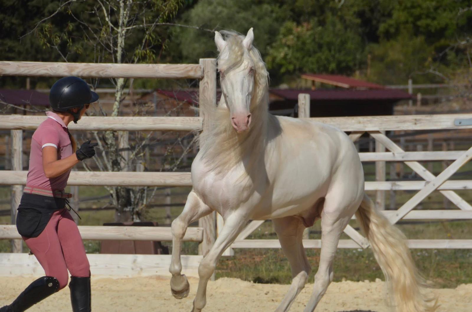 Photo numéro 4 de la galerie de Caroline Bonifacio : Thérapeute à Grasse. Prendre RDV