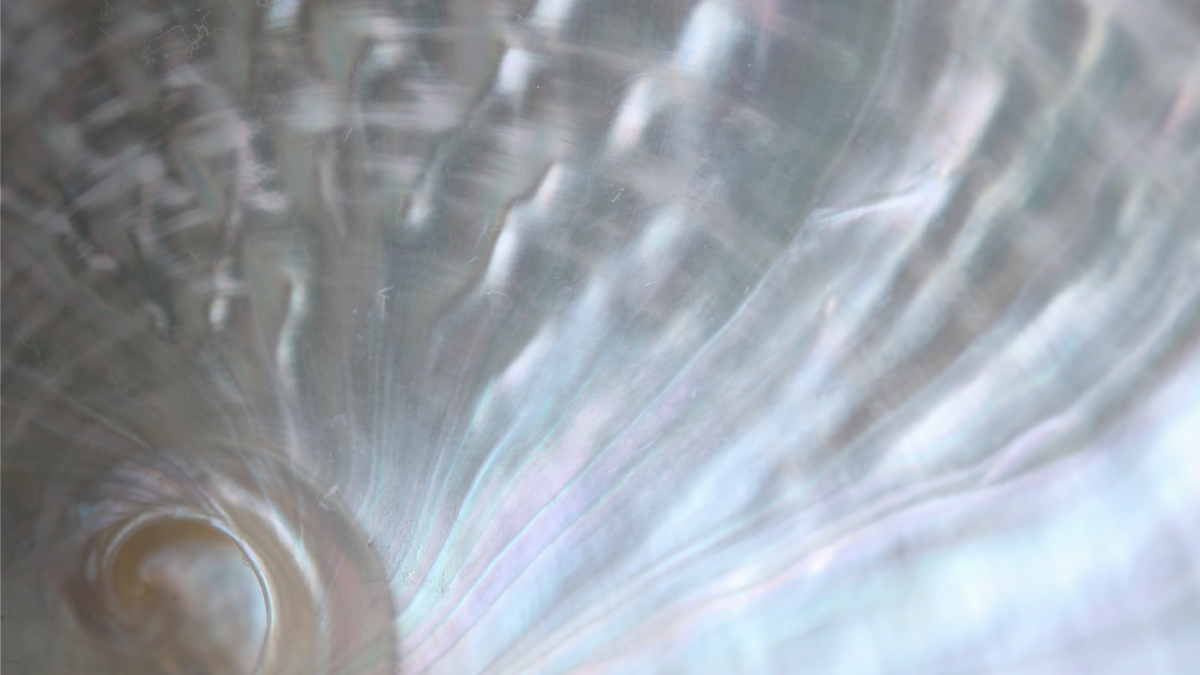 Photo numéro 3 de la galerie de Elsa Ricordel : Massothérapeute à Pompogne. Prendre RDV