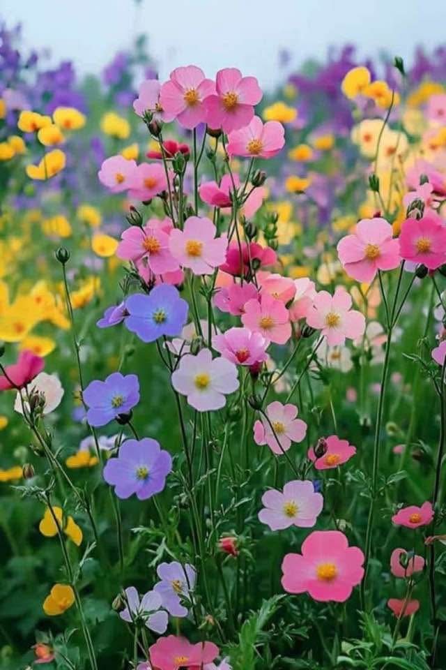 Photo numéro 2 de la galerie de Lilas Bouakli : Sophrologue à Enghien-les-Bains. Prendre RDV