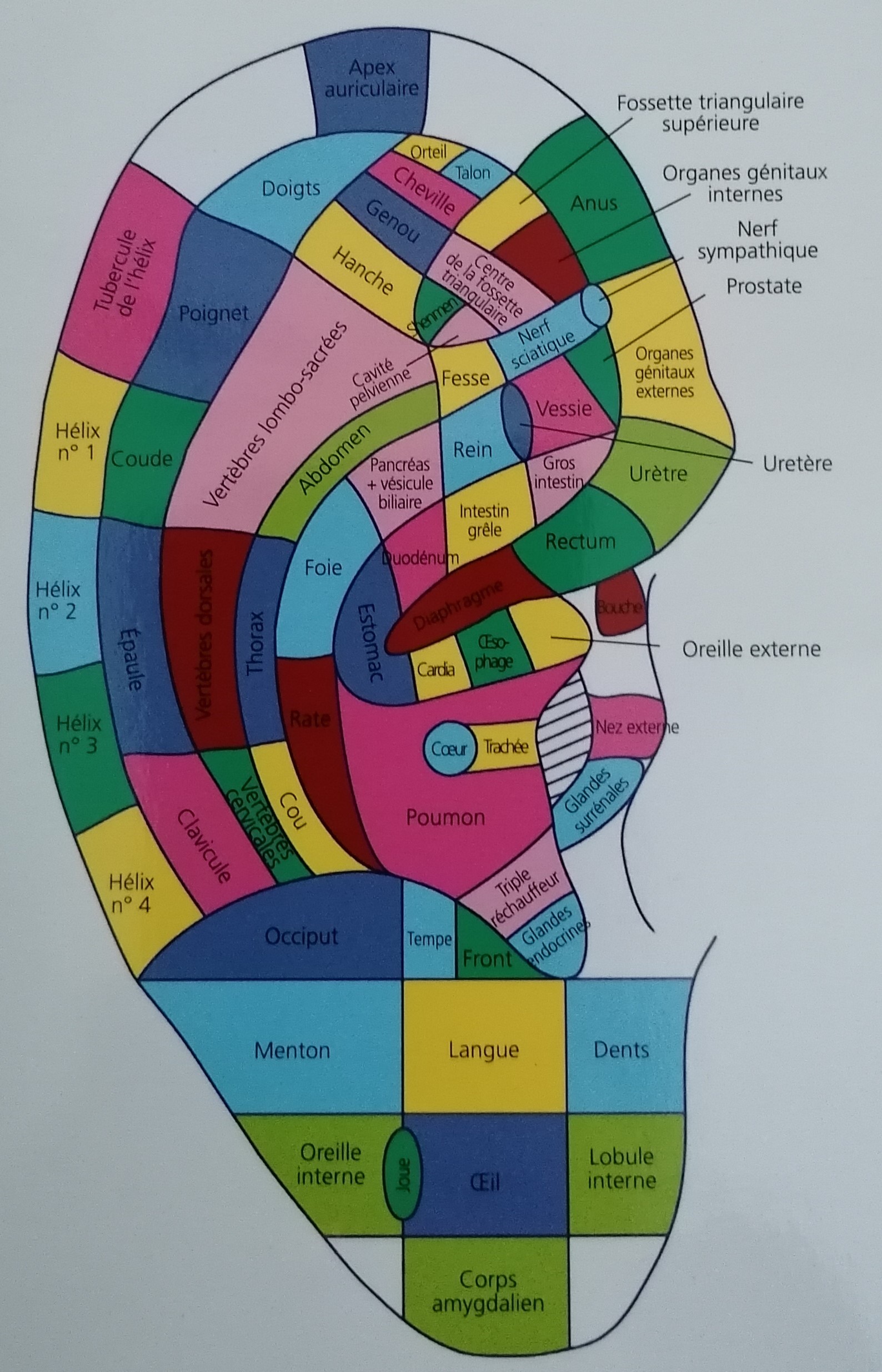 Photo numéro 1 de la galerie de Valérie Touboul : Masseur bien-être à Laval. Prendre RDV