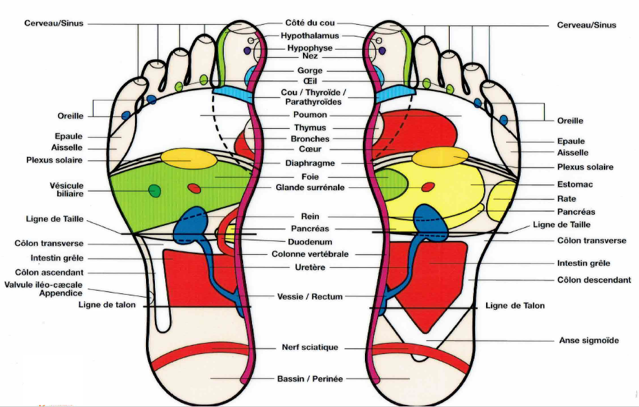 Photo numéro 5 de la galerie de Frédéric Chevalier : . Prendre RDV
