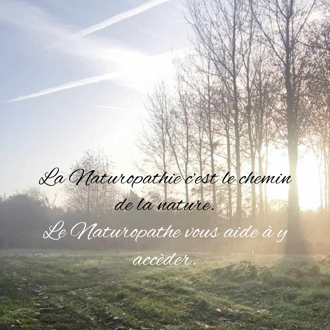 Photo numéro 2 de la galerie de Ambre Chetrit Breton : Naturopathe à Saint-Cosme-en-Vairais. Prendre RDV