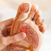 Sève Réflexologie, reflexologue à Saint-andre-lez-lille