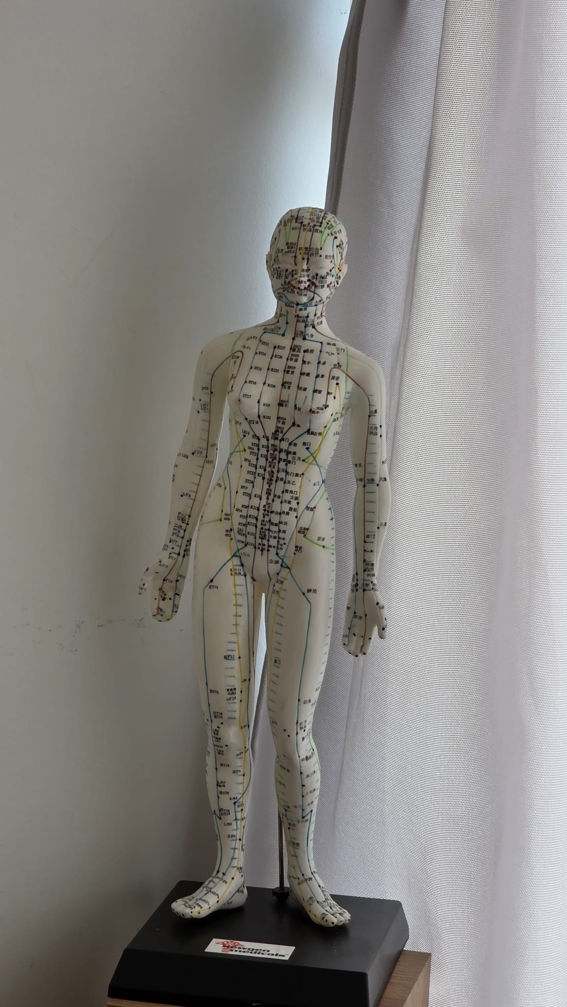 Photo numéro 2 de la galerie de Sandrine Giordano Elichabe : Praticien en shiatsu à Boissy-l'Aillerie. Prendre RDV