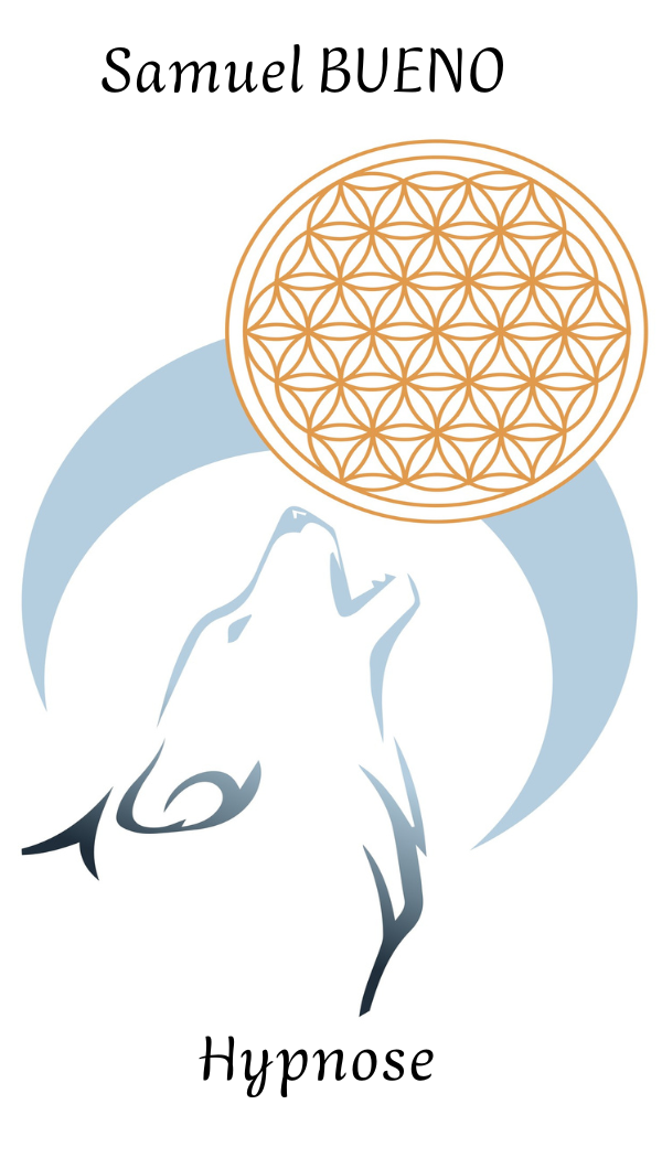 Photo numéro 3 de la galerie de Samuel Bueno : Coach PNL à Bourg-de-Péage. Prendre RDV