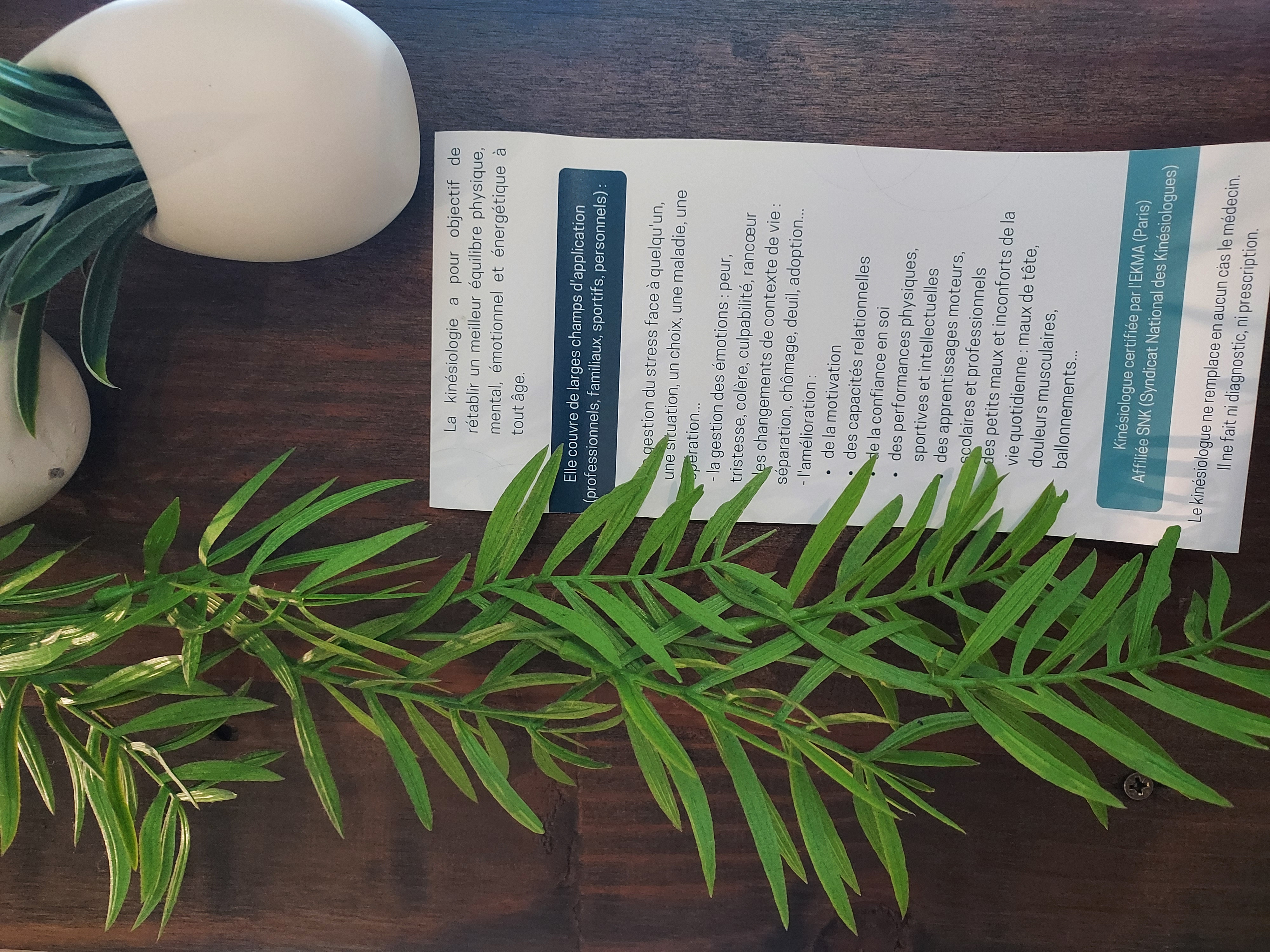 Photo numéro 10 de la galerie de Valérie Seiliez : Kinésiologue à Avranches. Prendre RDV