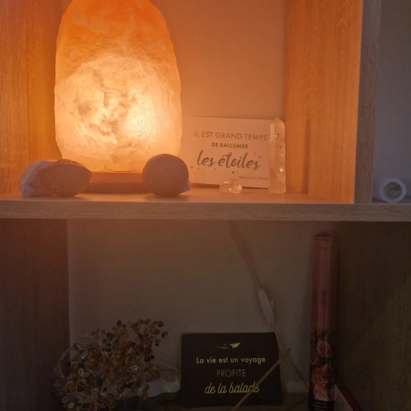 Photo numéro 5 de la galerie de Laurine Brignano : Kinésiologue à Marseille 4. Prendre RDV