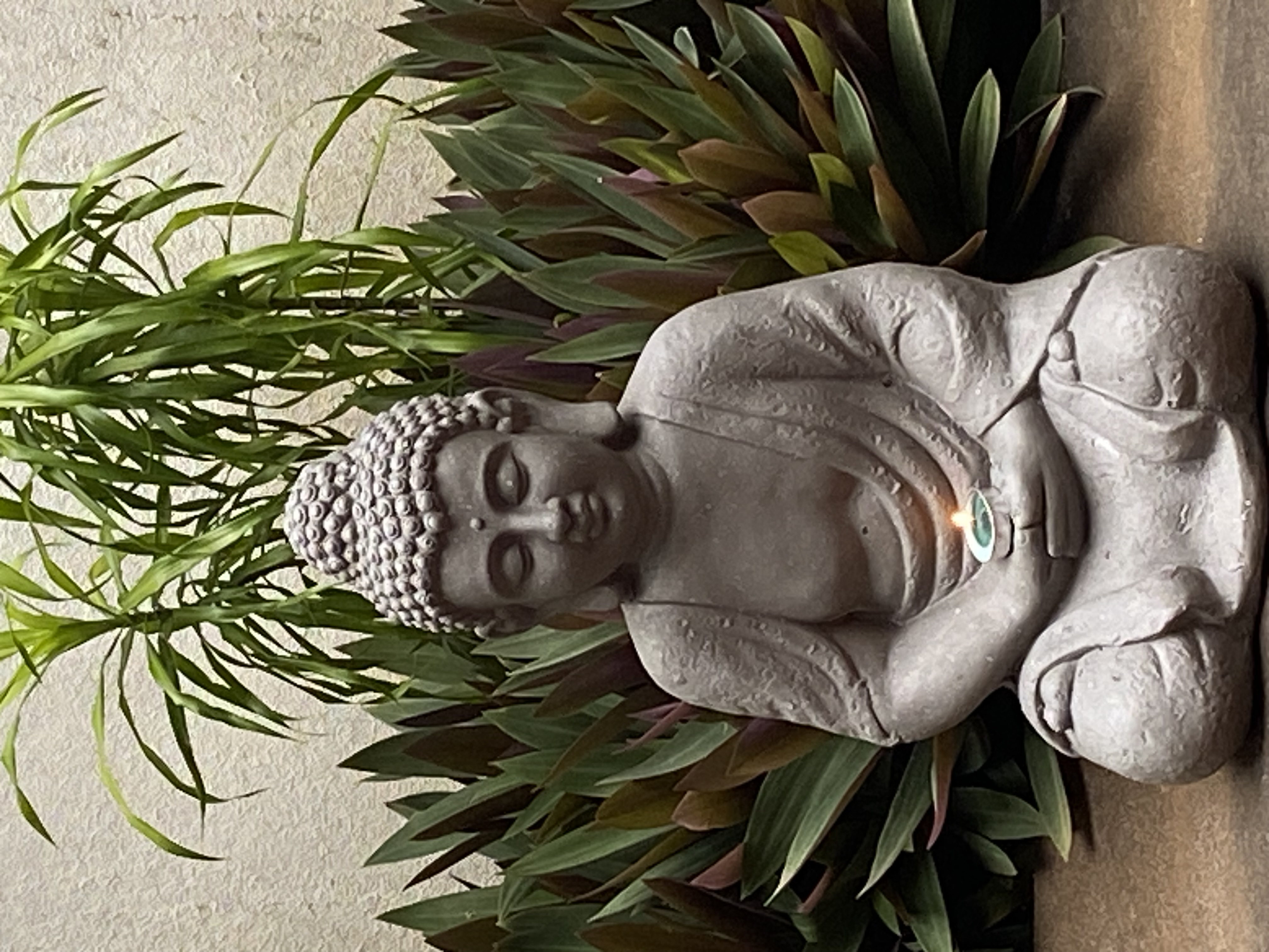 Photo numéro 18 de la galerie de Liliane Verdier : Thérapeute en Ayurveda à Saint-Leu. Prendre RDV