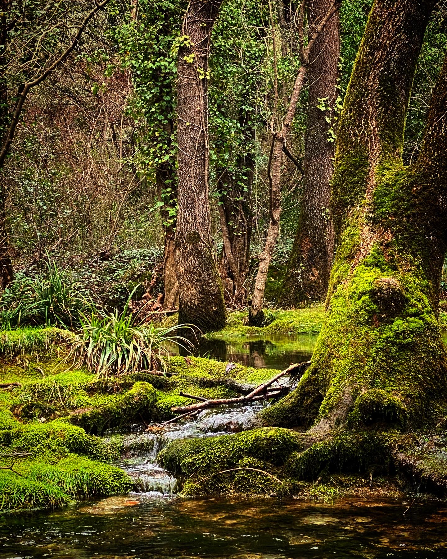 Photo numéro 5 de la galerie de Nathalie Giroux : Naturopathe à Béziers. Prendre RDV