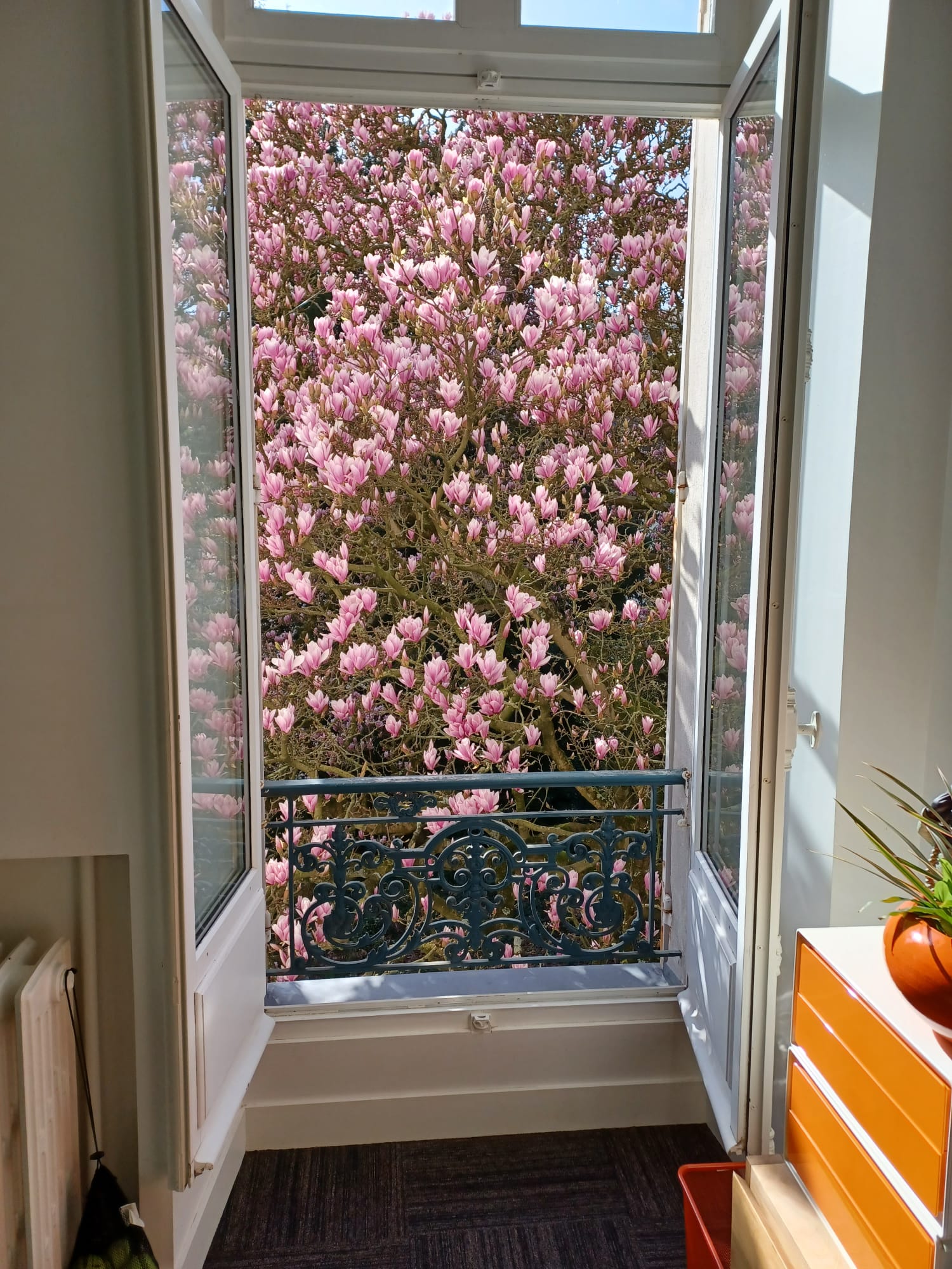 Photo numéro 1 de la galerie de Christine Hesbert-Bonnier : Sophrologue à Rennes. Prendre RDV