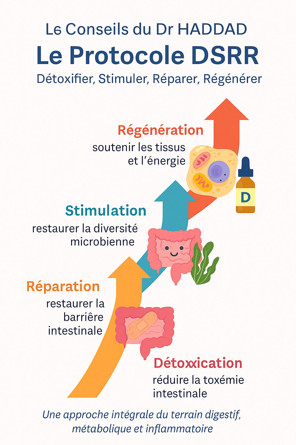 Photo numéro 2 de la galerie de Dr Richard Haddad : Coach santé à Issy-les-Moulineaux. Prendre RDV