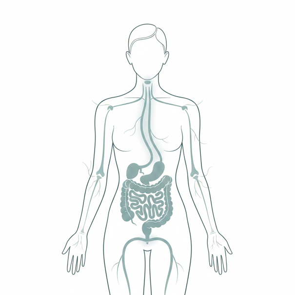 Photo numéro 6 de la galerie de Dr Richard Haddad : Coach santé à Issy-les-Moulineaux. Prendre RDV