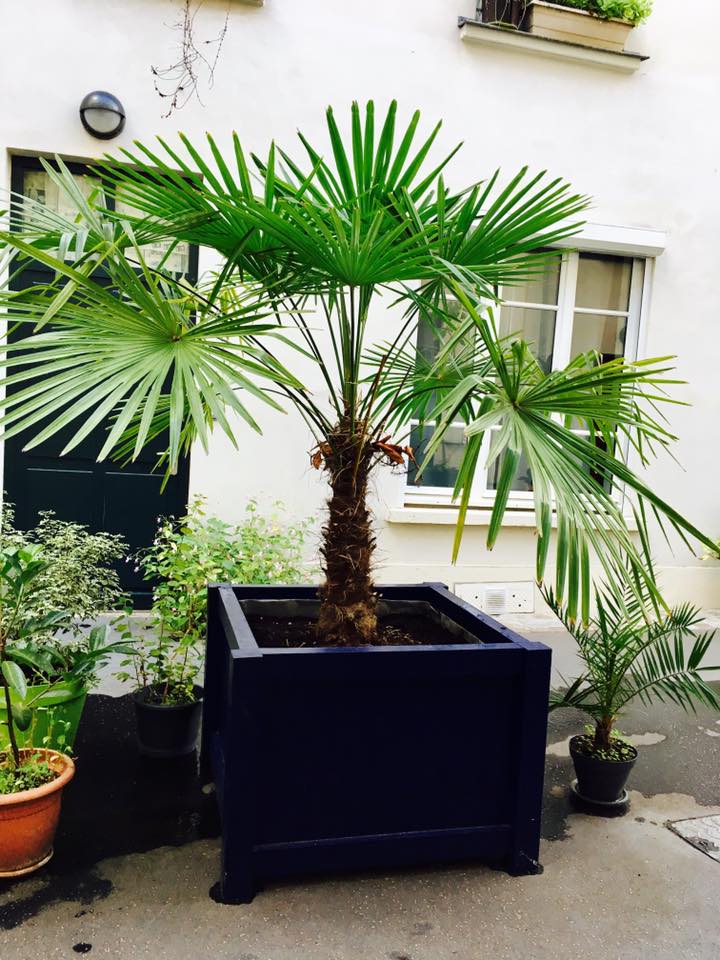 Photo numéro 12 de la galerie de Stephanie Valère Pruret : Praticien en EMDR à Paris 20. Prendre RDV