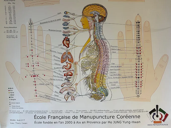 Photo numéro 1 de la galerie de Déborah Thill : Réflexologue à Mandelieu-la-Napoule. Prendre RDV