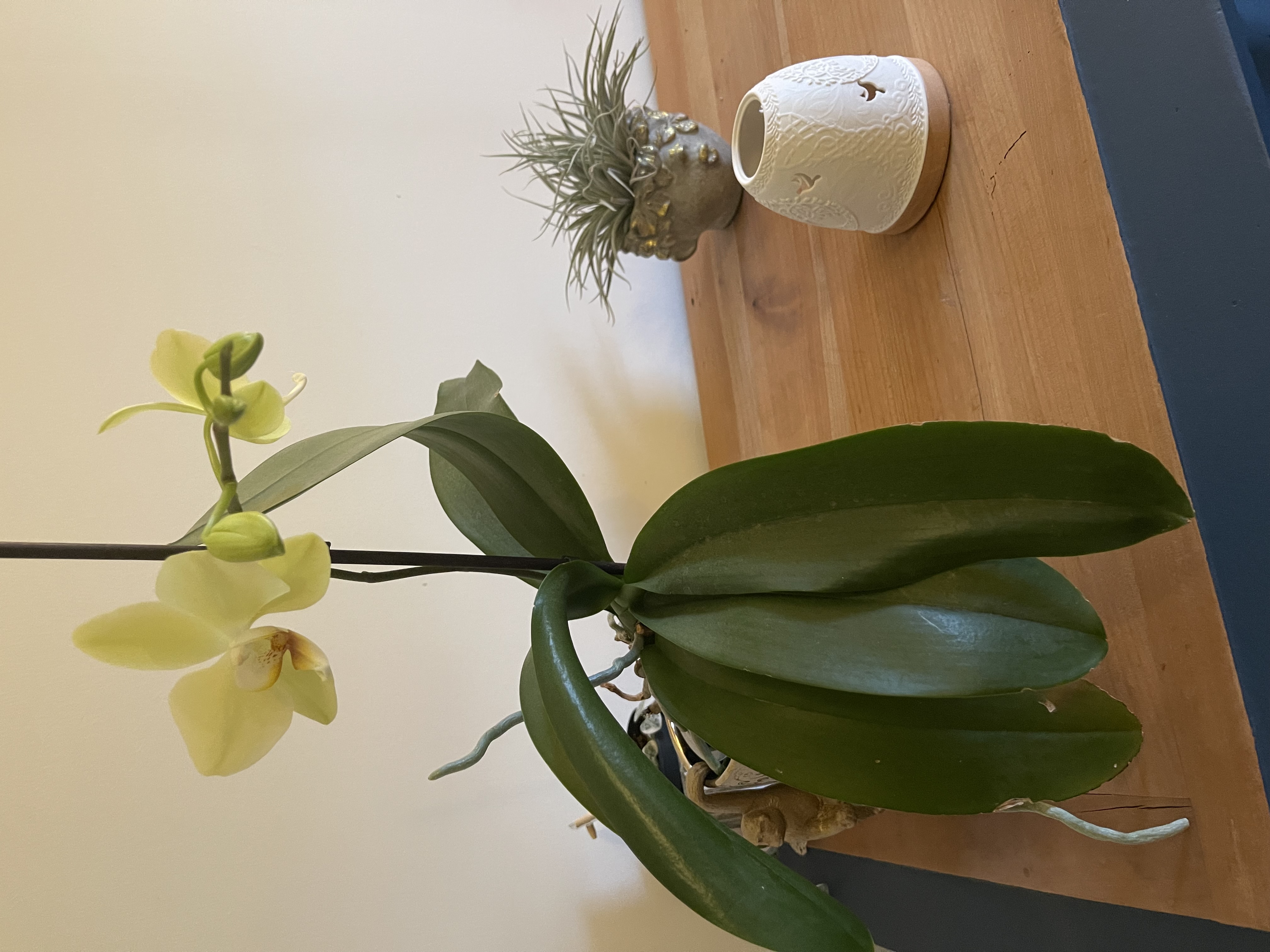 Photo numéro 3 de la galerie de Karine Mens : . Prendre RDV