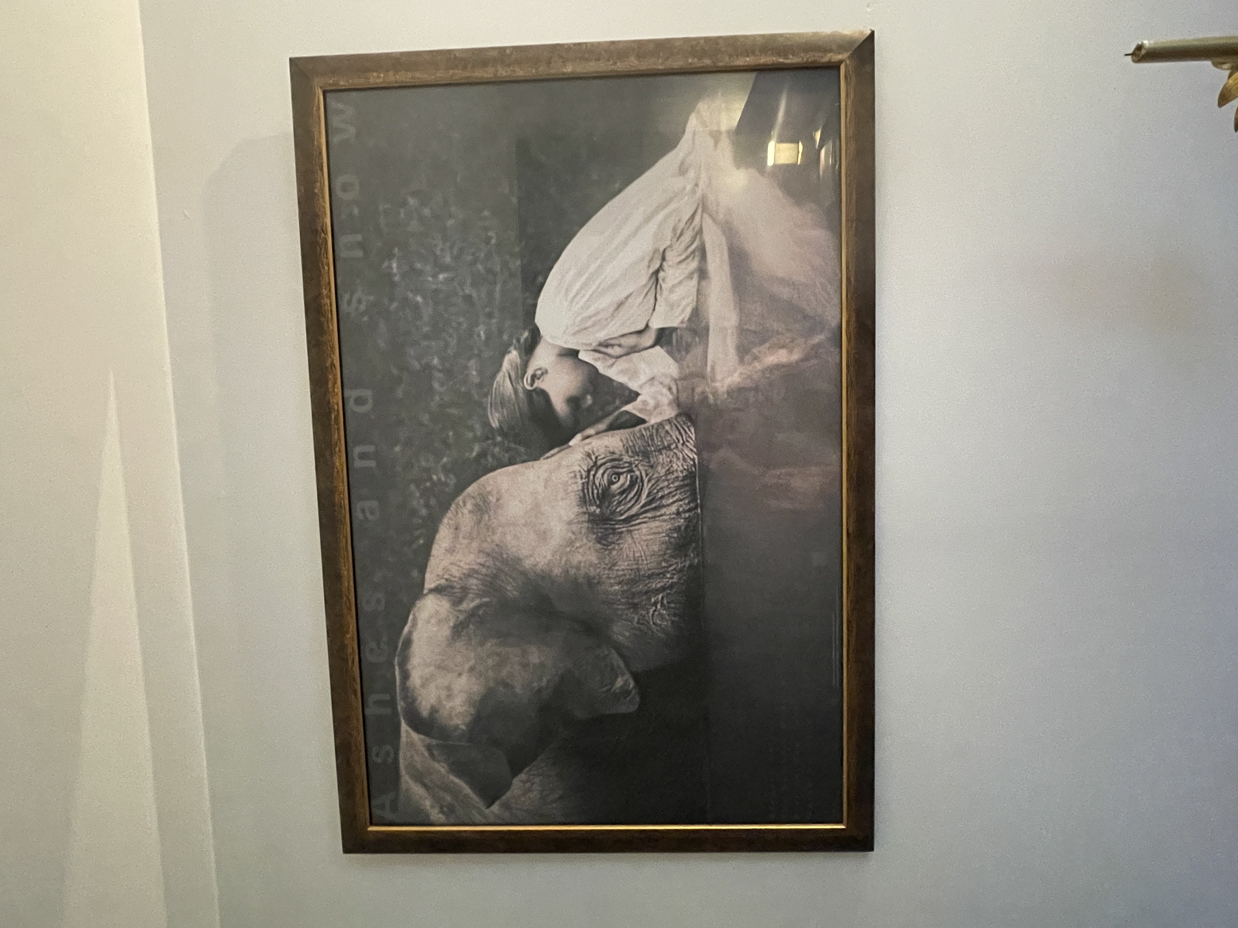 Photo numéro 8 de la galerie de Karine Mens : . Prendre RDV