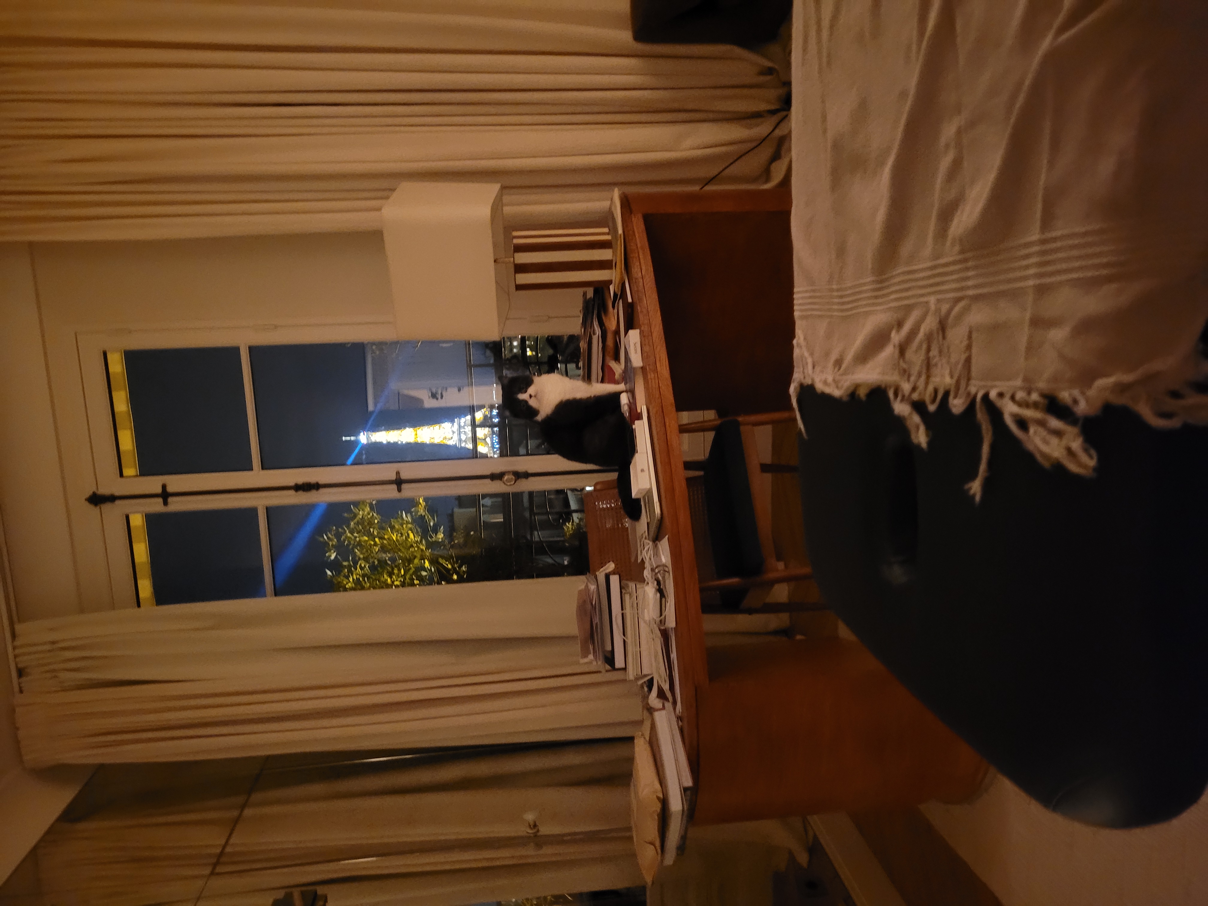 Photo numéro 1 de la galerie de Jose Reyes : Masseur bien-être à Montreuil. Prendre RDV