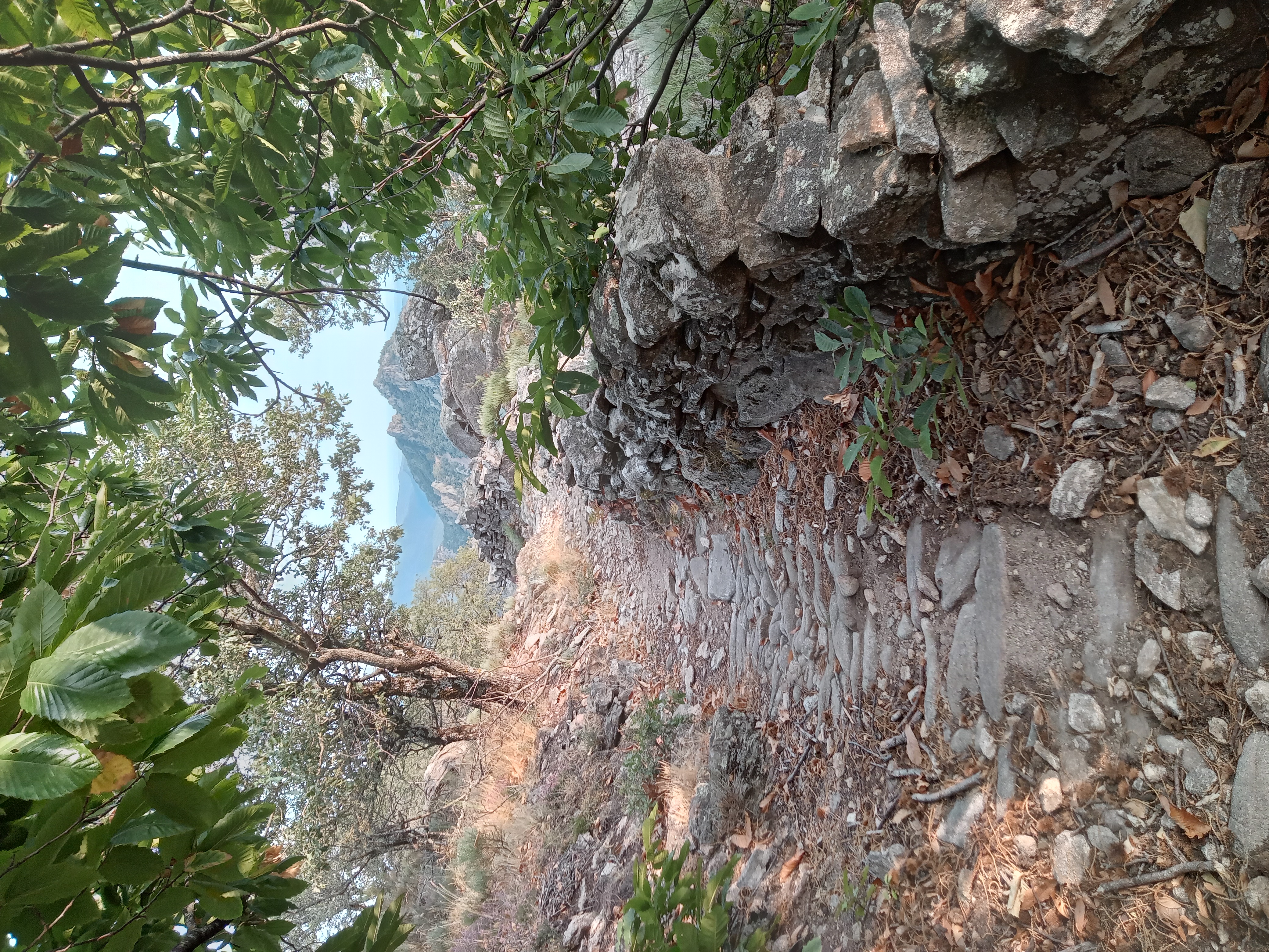 Photo numéro 1 de la galerie de Isabelle Blanchin Christal : Sophrologue à Vincennes. Prendre RDV