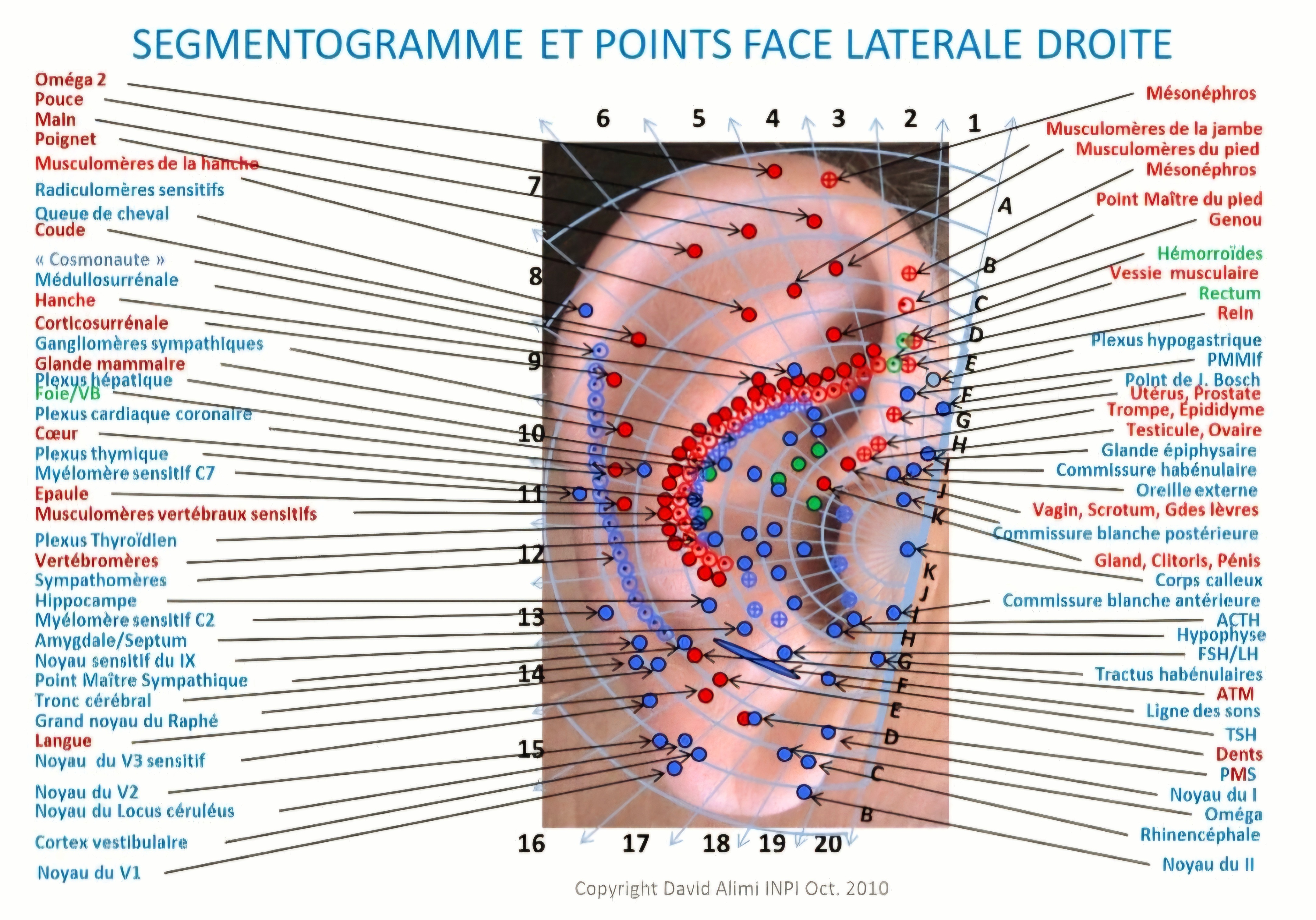 Photo numéro 3 de la galerie de Auréa Santé Addictions Bien Être : Thérapeute à Sedan. Prendre RDV