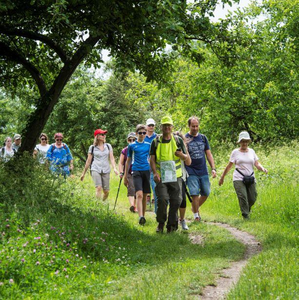 Photo numéro 4 de la galerie de Franck Ragot : Masseur bien-être à Clamart. Prendre RDV
