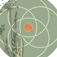  Anne   Chauvet  , Naturopathe à Lyon