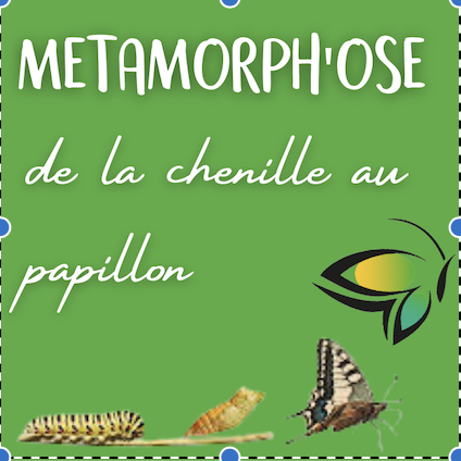 Photo numéro 2 de la galerie de L'envol Du Papillon Coaching - Sophie Fluchot : . Prendre RDV