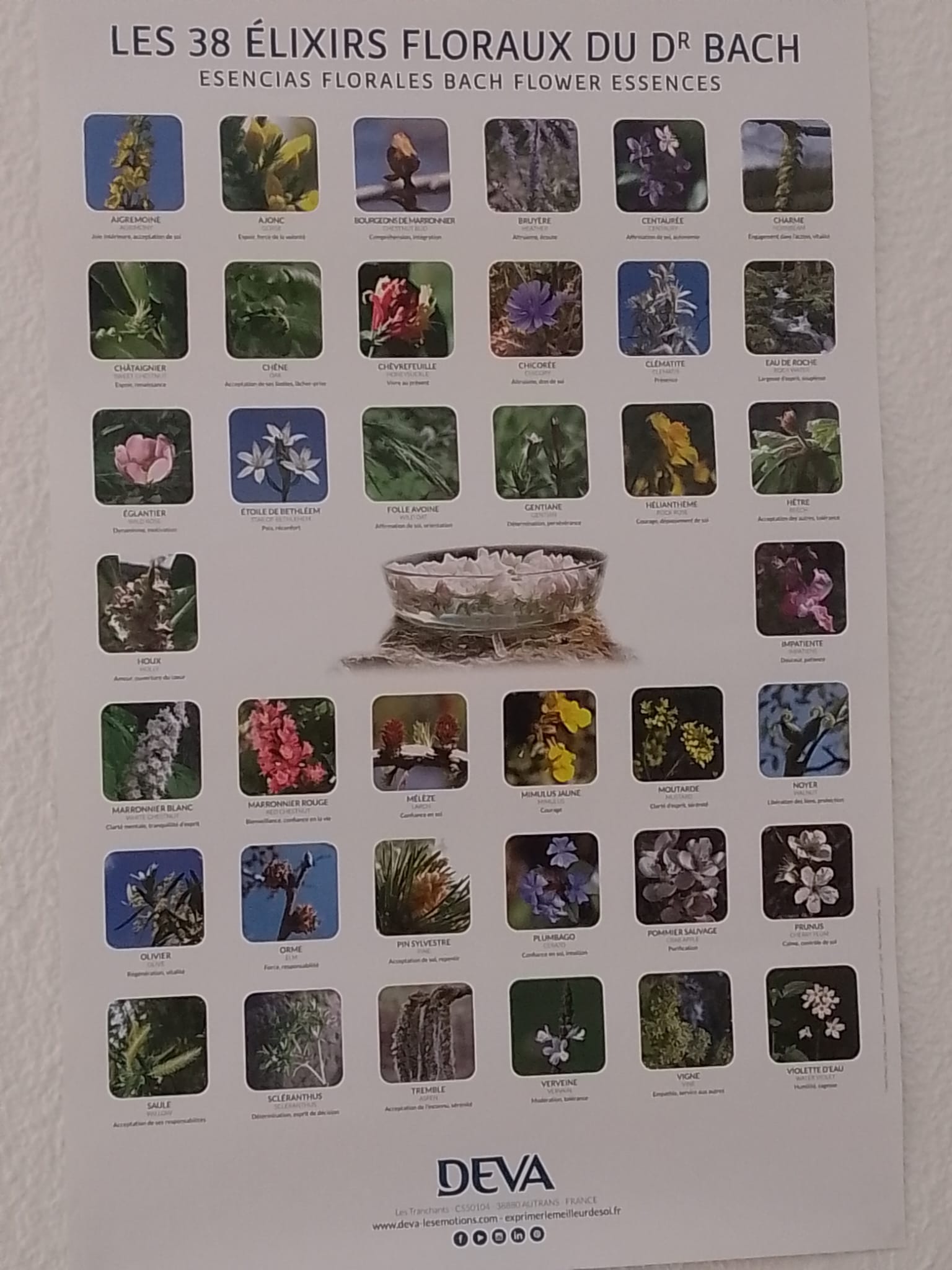 Photo numéro 5 de la galerie de Valérie Loffer : Naturopathe à Susville. Prendre RDV