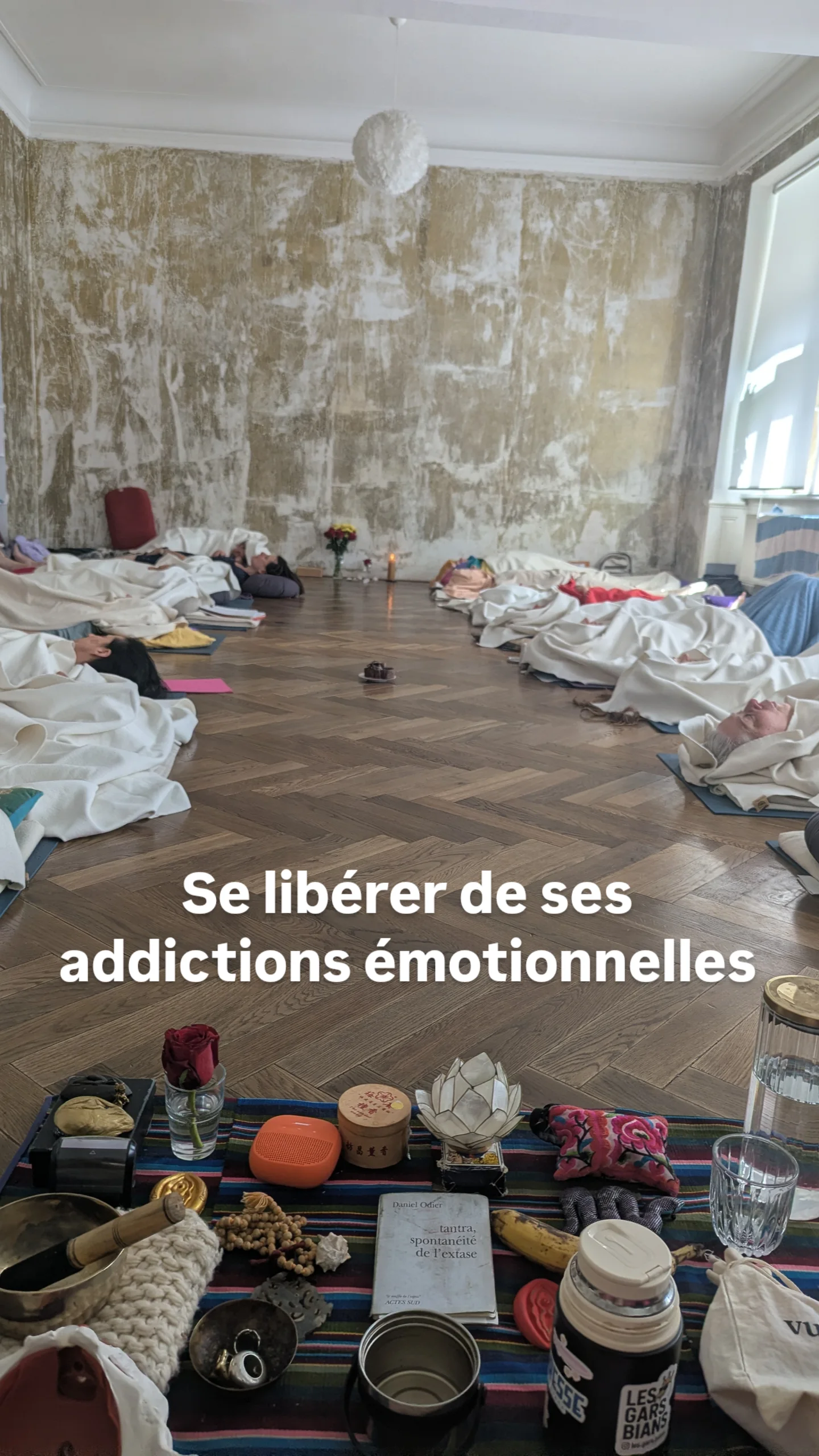 Photo numéro 6 de la galerie de Veronique Lenoir De La Cochetiere : . Prendre RDV