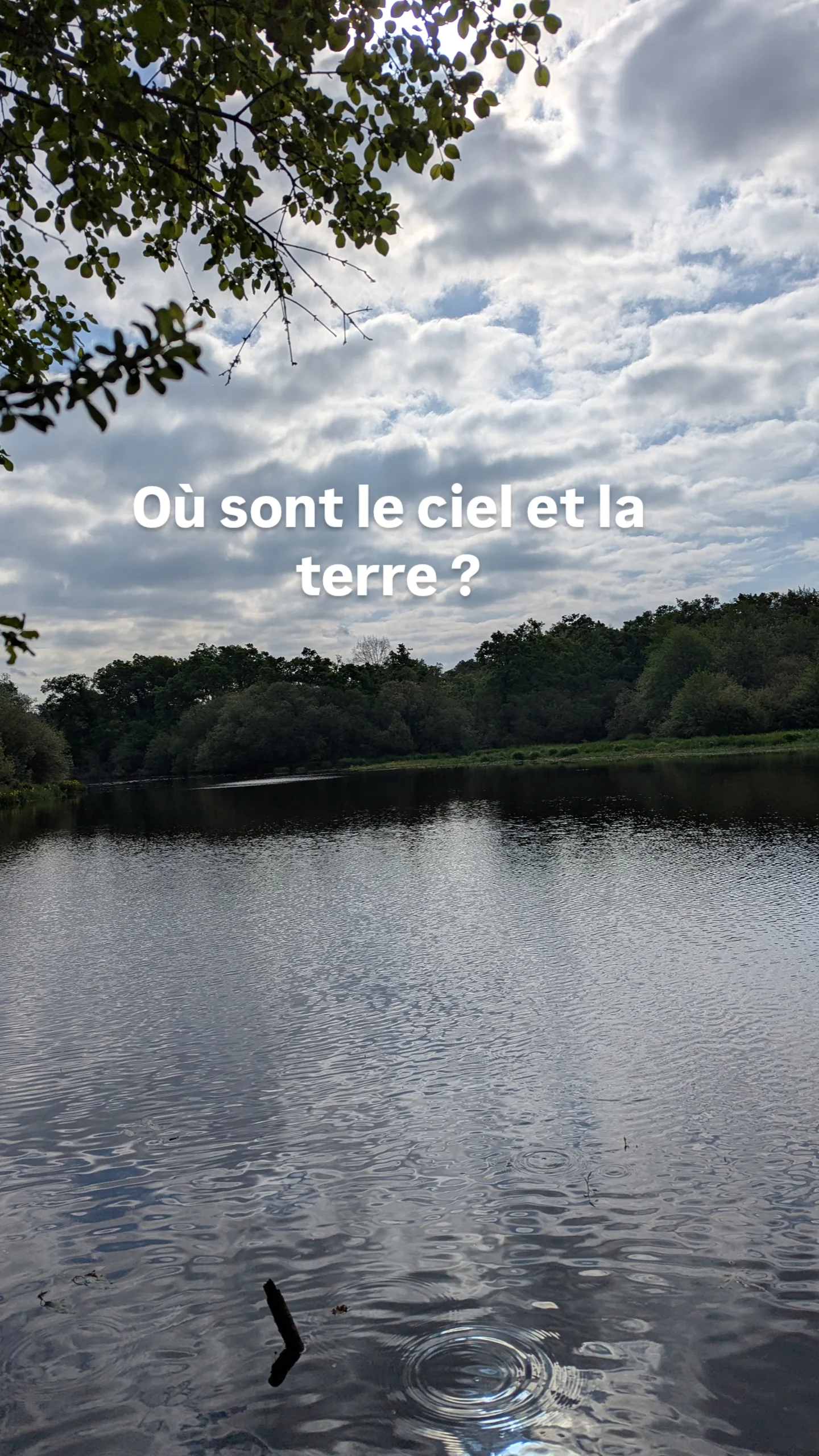 Photo numéro 17 de la galerie de Veronique Lenoir De La Cochetiere : . Prendre RDV