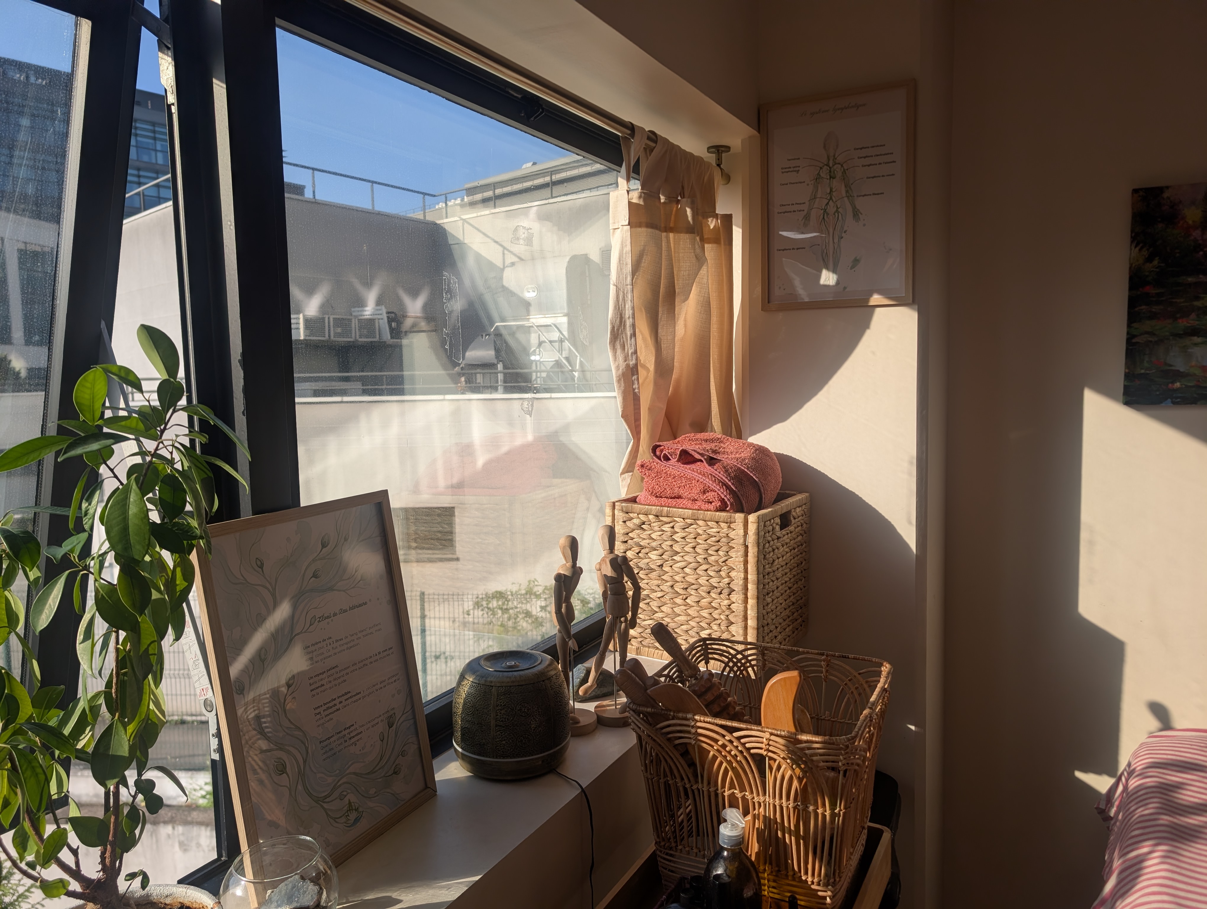 Photo numéro 3 de la galerie de Naciba Arrad : Naturopathe à Saint-Denis. Prendre RDV