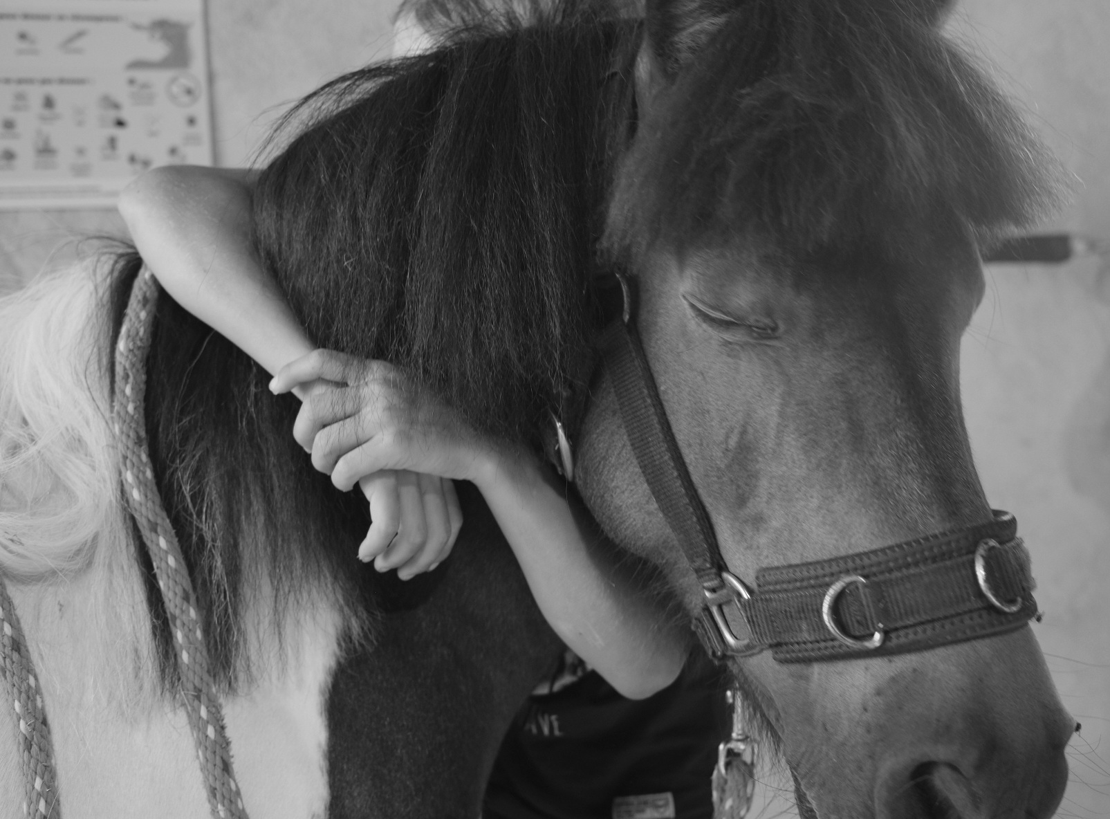 Photo numéro 19 de la galerie de Gaelle Foucteau : Psychothérapeute à Saint-Médard. Prendre RDV