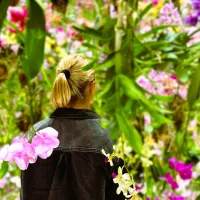  Mélanie   Gros  , Naturopathe  à Saint-Martial-de-Vitaterne 