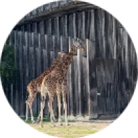 Oumaima Qabbaltest, osteopathe à Lyon